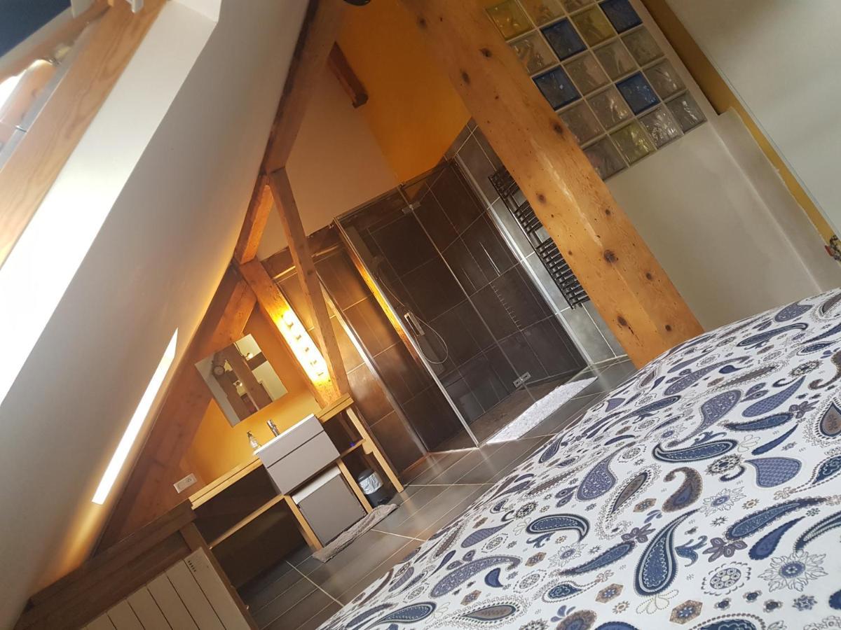 Loft Dans Les Pyrenees Lägenhet Oloron-Sainte-Marie Exteriör bild