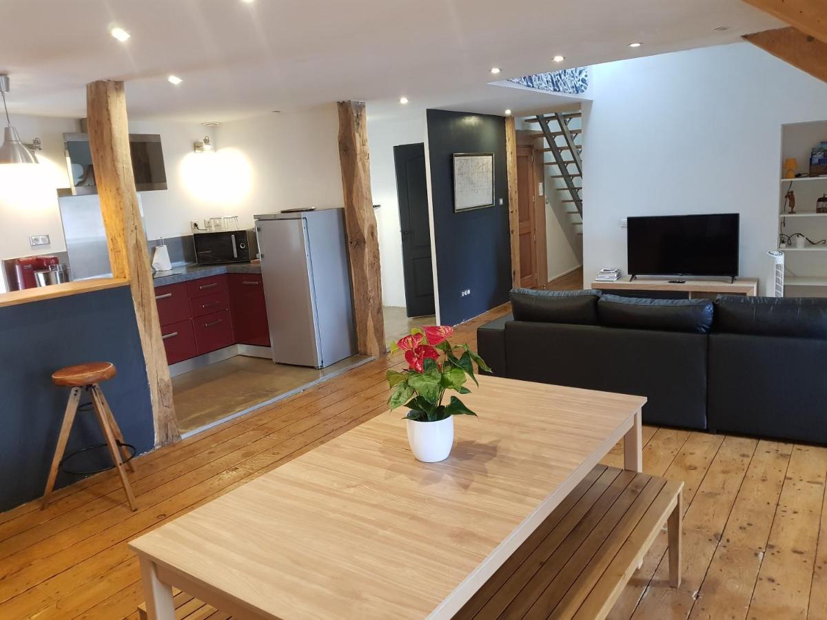 Loft Dans Les Pyrenees Lägenhet Oloron-Sainte-Marie Exteriör bild