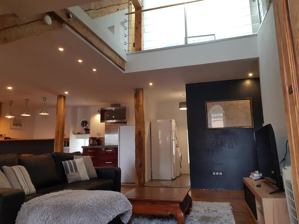 Loft Dans Les Pyrenees Lägenhet Oloron-Sainte-Marie Exteriör bild