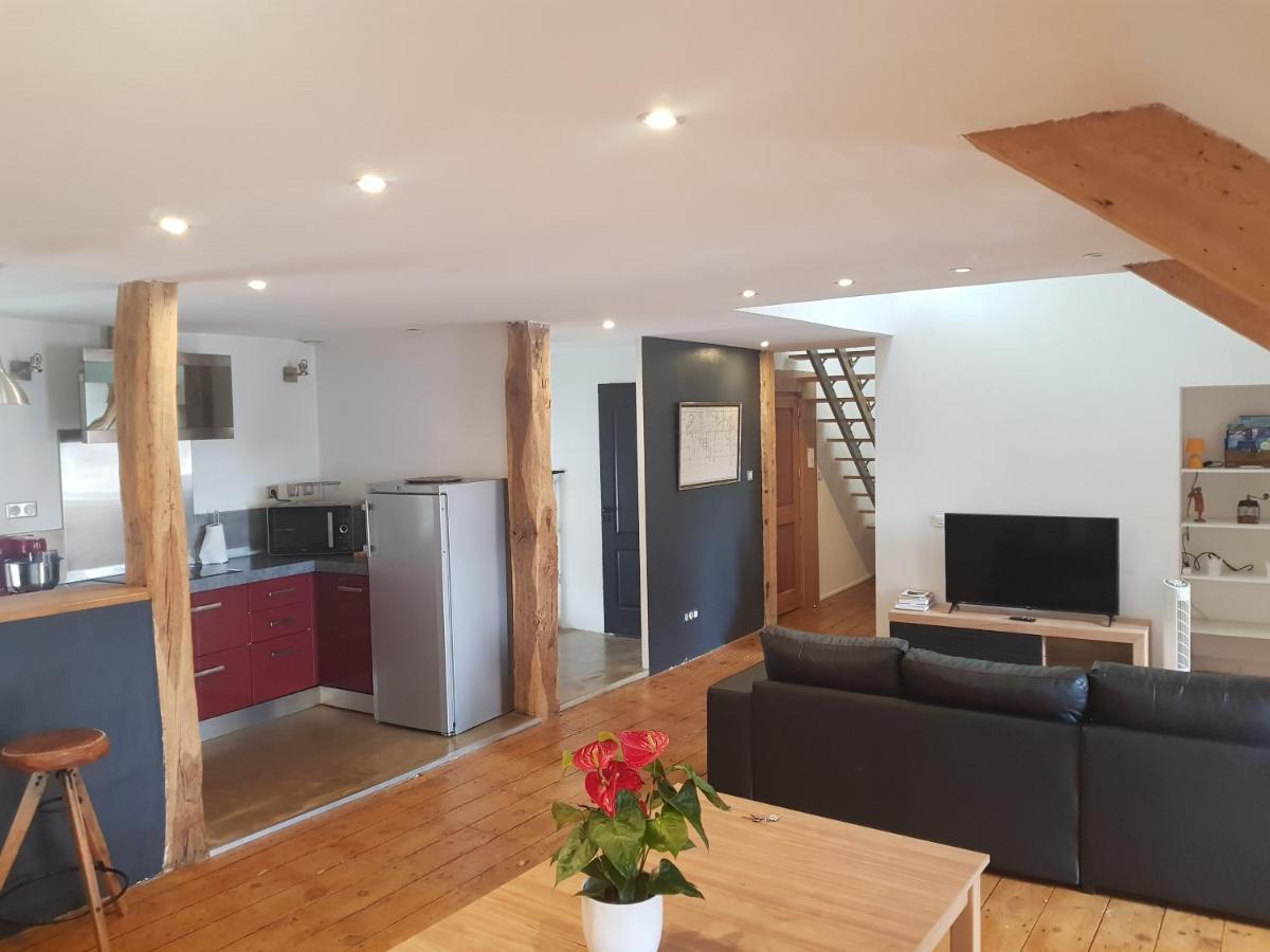 Loft Dans Les Pyrenees Lägenhet Oloron-Sainte-Marie Exteriör bild